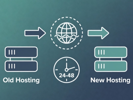 DNS propagation issue during restaurant website migration showing old and new site conflict